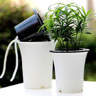 Intelligente Herb Monstera Self Watering Houseplant Töpfe ISO9001 125mm