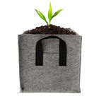 85g 2 behandelt Quadratus-Belüftung, die der 2 Gallonen-Stoff-das Pflanzen Taschen wachsen