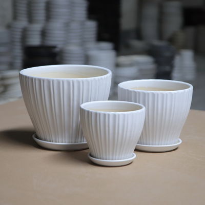 Entwässerung Shell Decorative Ceramic Plant Pots ODM 16cm mit Untertasse