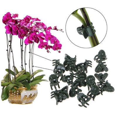 Breiten-Plastikklammer der Rebunterstützungs1cm für Schmetterlings-Orchideen-Clip